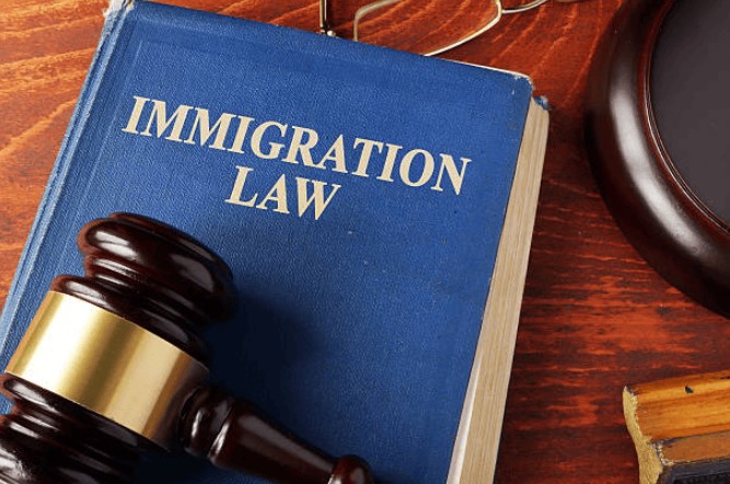 The Best Immigration Lawyer: Navigating Your Path to Success